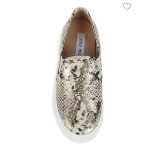 Steve Madden Jungle Snakeskin-Embossed Sneakers